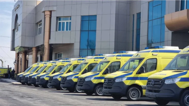 4 جرائم قتل «مُفجعة» خلال أسبوع تقلق الشارع المصري