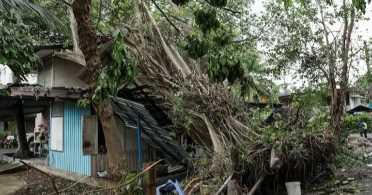 تايلندا.. ارتفاع ضحايا الفيضانات إلى 22 وتواصل جهود الإغاثة