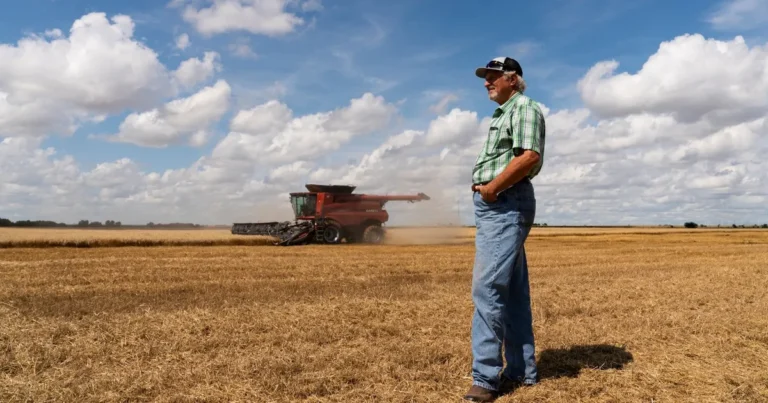 بعد تراجع مشتريات الصين.. خطة إنقاذ للمزارعين الأميركيين