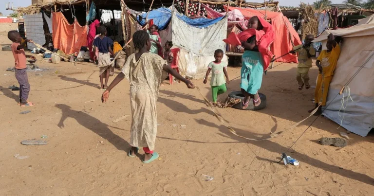 السودان.. مجلس الأمن يندد بهجوم قوات الدعم السريع على الفاشر