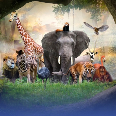 حديقة الحيوان بالرياض تعود بحلّة جديدة: 6 عوالم و1600 حيوان