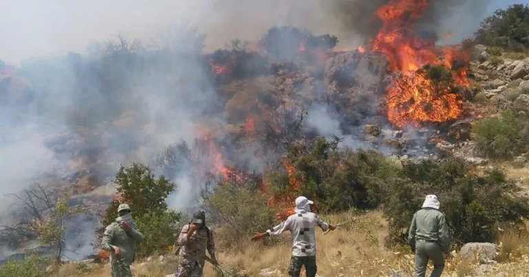إيران.. حريق يهدد غابات عمرها 50 مليون سنة ومدرجة باليونسكو