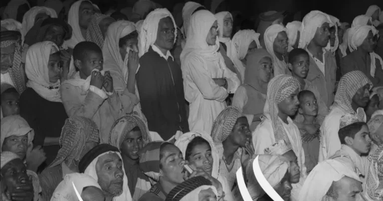 “ضد السينما”.. النسيان فيما يخص الذاكرة جريمة