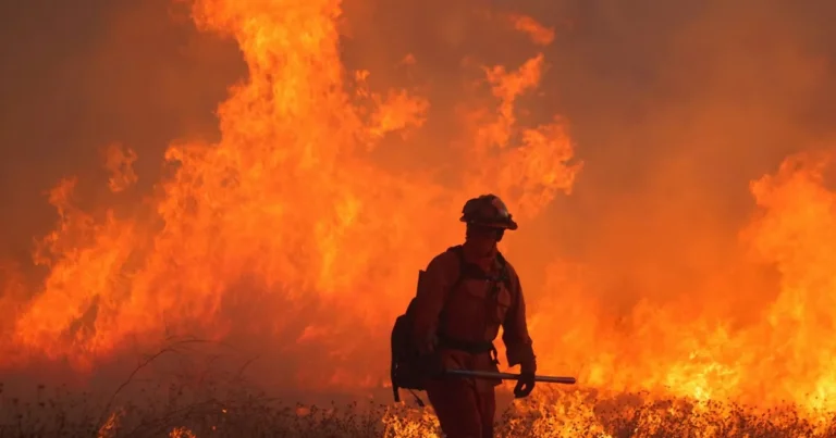 حريق غابات في كاليفورنيا.. ولوس أنجلوس تواجه مخاطر فيضانات