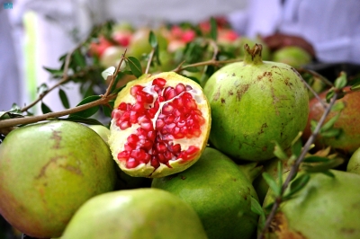 “رمان بيده” يكشف 7 مركبات دوائية واعدة