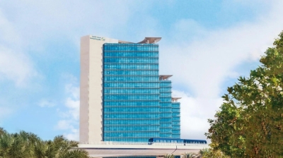 مكافأة نهاية خدمة وإجازة أسبوعية.. لائحة جديدة لعمال الزراعة والرعاة