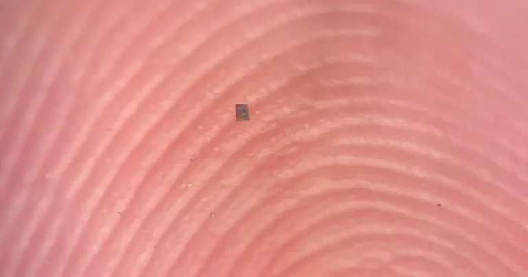 أصغر من حبة ملح.. الكشف عن أصغر روبوت ذاتي الحركة في العالم