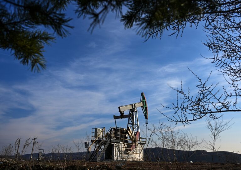 روسيا تسجل أكثر من 200 مكمن جديد للموارد الباطنية منذ بداية العام