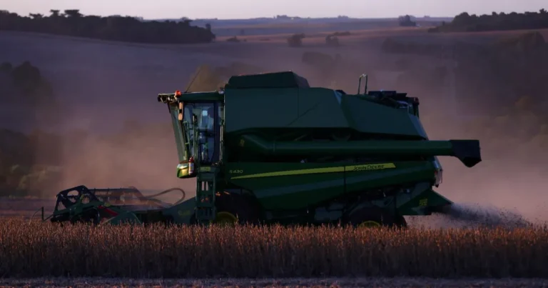 معركة فول الصويا بين الصين وأمريكا. أرباح البرازيل والتحديات