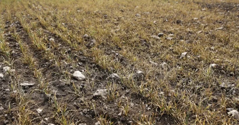 المغرب.. خطط لتأمين 60% من الاحتياجات المائية بتحلية المياه